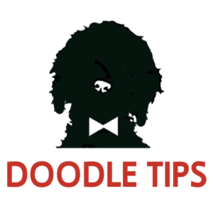 Doodle Tips – Frequently Asked Questions About Your Poodle-Mix Companion